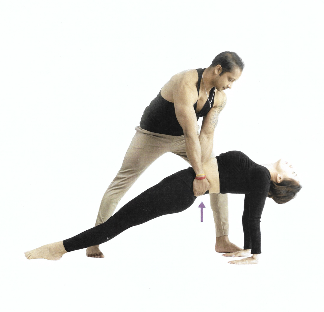 <p>Upward / Reverse Plank Pose</p>