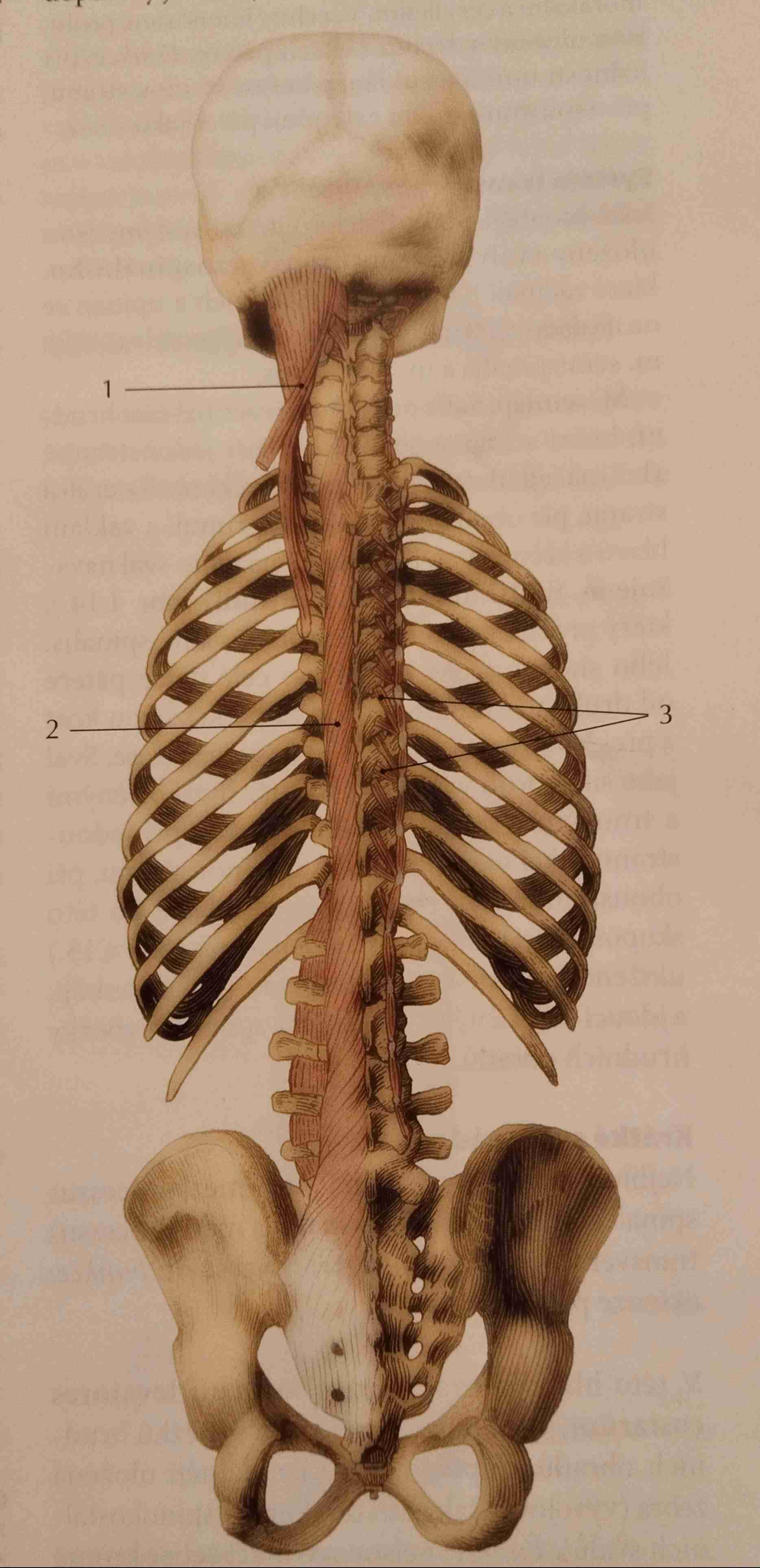 <p>2</p>