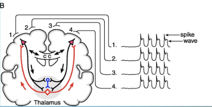 <p>What does this show?</p>