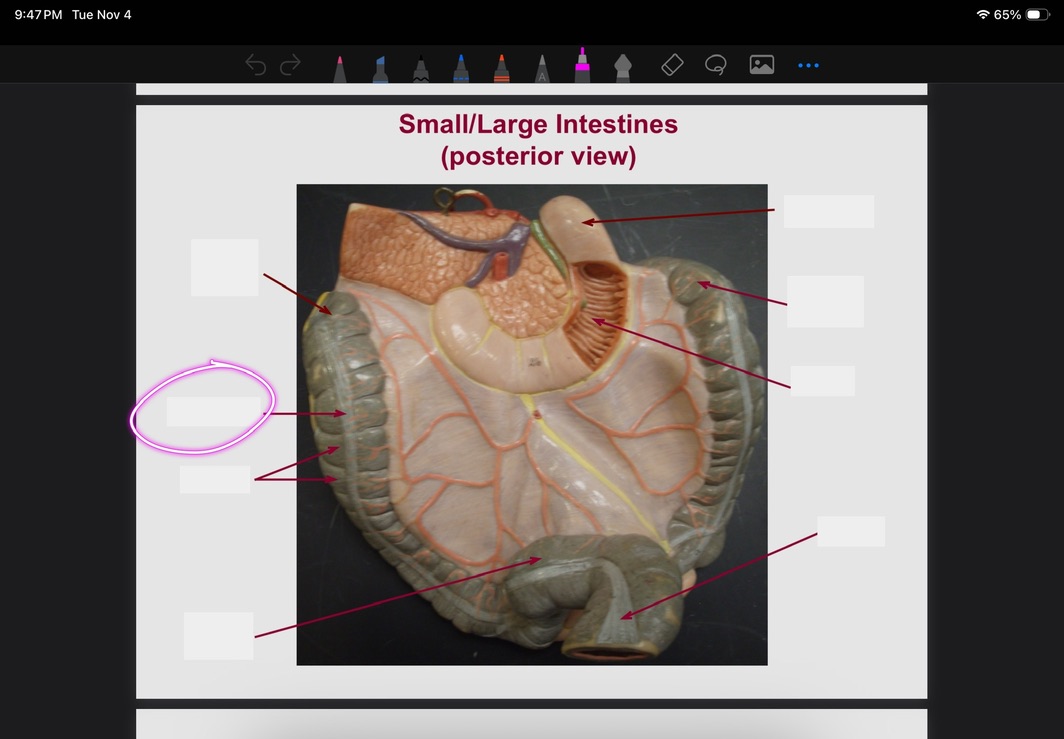 <p>What is this?</p>