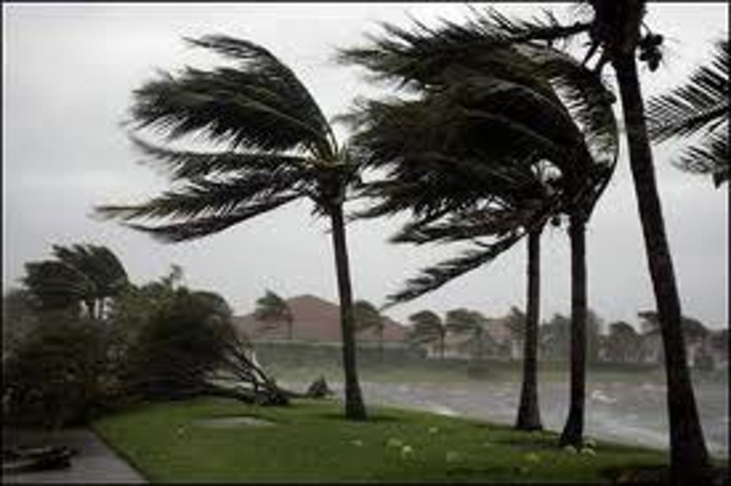 <p>kuángfēng dàzuò <br>strong wind</p>