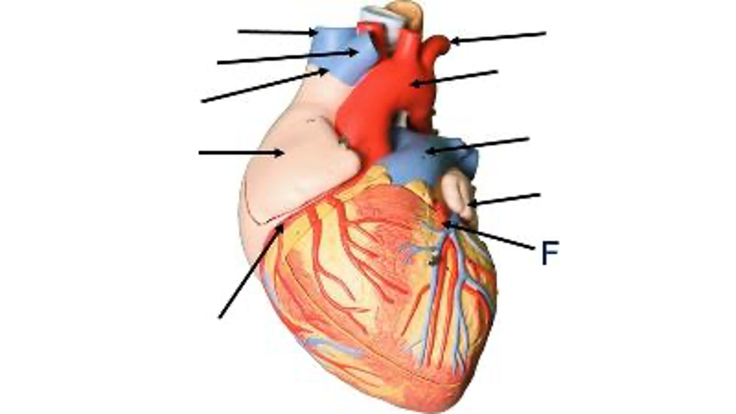 <p>What is this?</p>