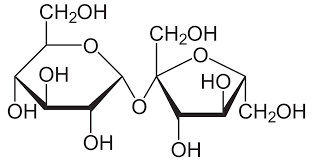 <p>Which 2 monosaccharides join to form <strong>sucrose</strong>?</p>