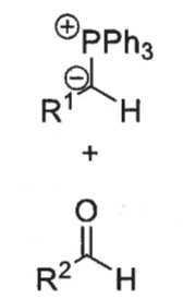 <p>which isomer is formed?</p>