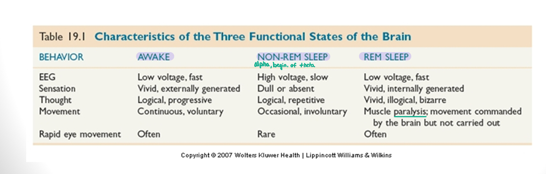 knowt flashcard image