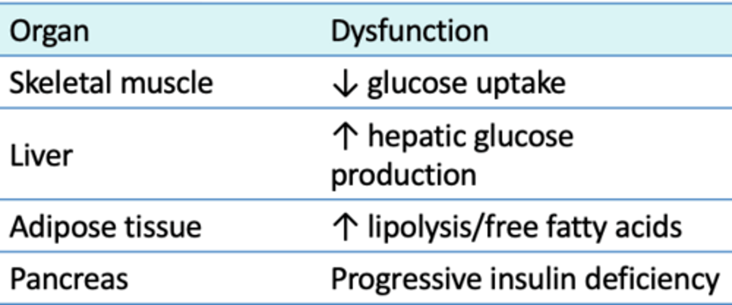 <p>Insulin resistance and B cell Dysfunction from chronic hyperglycemia</p>