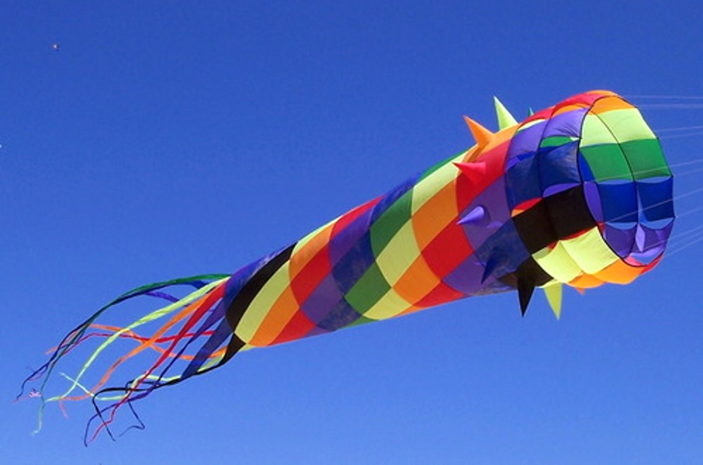 <p>kite</p>