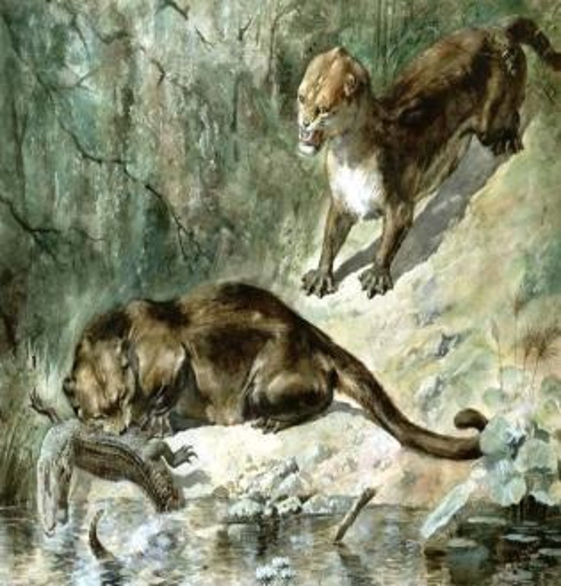 <p>Being one of the first fully aquatic whale relatives.</p>