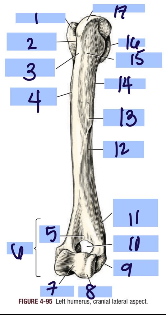 <p>9</p>