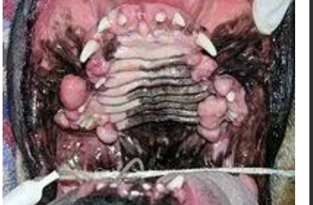 <p>what is the image showing?</p>