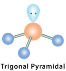 <p>4 electron domains, 1 lone pair </p>