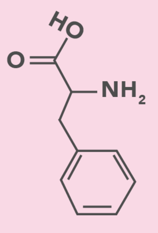 <ul><li><p>Aromatic</p><ul><li><p>Aliphatic (Nonpolar)</p></li></ul></li><li><p>Phe</p></li></ul><p></p>