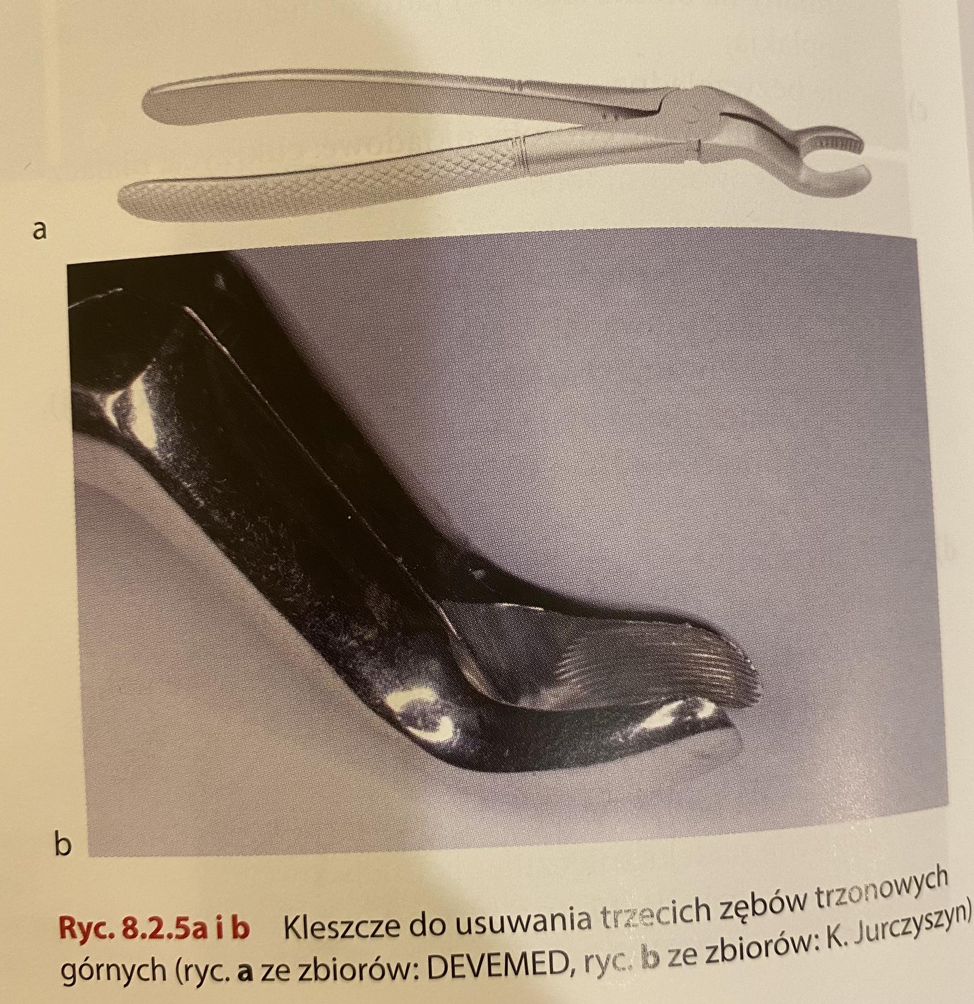 <ul><li><p>nie mają trzpieni</p></li></ul>