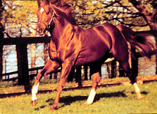 <p>Secretariat</p>