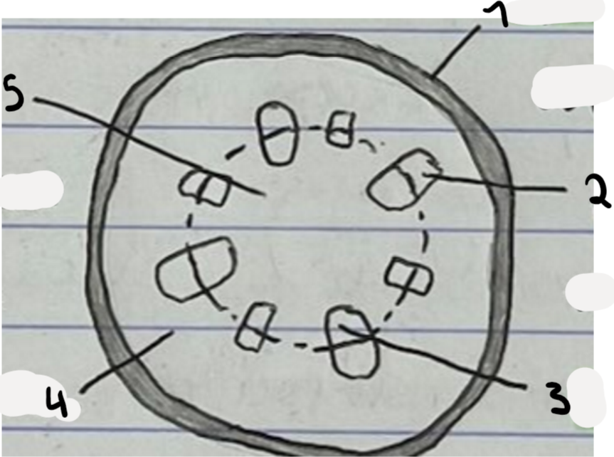 <p>Label this diagram</p>