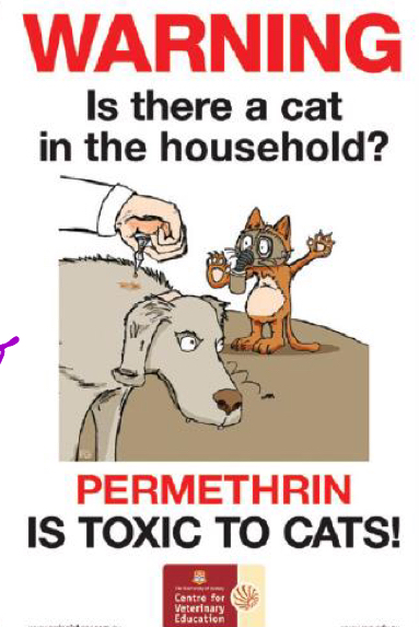 <p>False,&nbsp;Pyrethrins and Pyrethroids are<strong><u> contact</u></strong>&nbsp;parasitic drugs, cats could groom or come into contact with it (1-8 times the lethal dose in cats)</p>