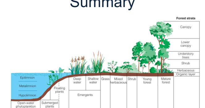 <p><span style="color: rgb(254, 244, 244);">• encounter a range of distinct microclimates along the Earth’s surface (= environmental heterogeneity)<br>– Plant and animal species adapt to a specific range of abiotic conditions that vary over space (and time)</span></p><p><span style="color: rgb(254, 244, 244);">Look at the environmental heterogeneity in the image, so many different microclimates to live in</span></p><p><span style="color: rgb(254, 244, 244);">– physiological ecology – how an individual responds to environmental conditions (abiotic) and adaptations of a population over generations</span></p>