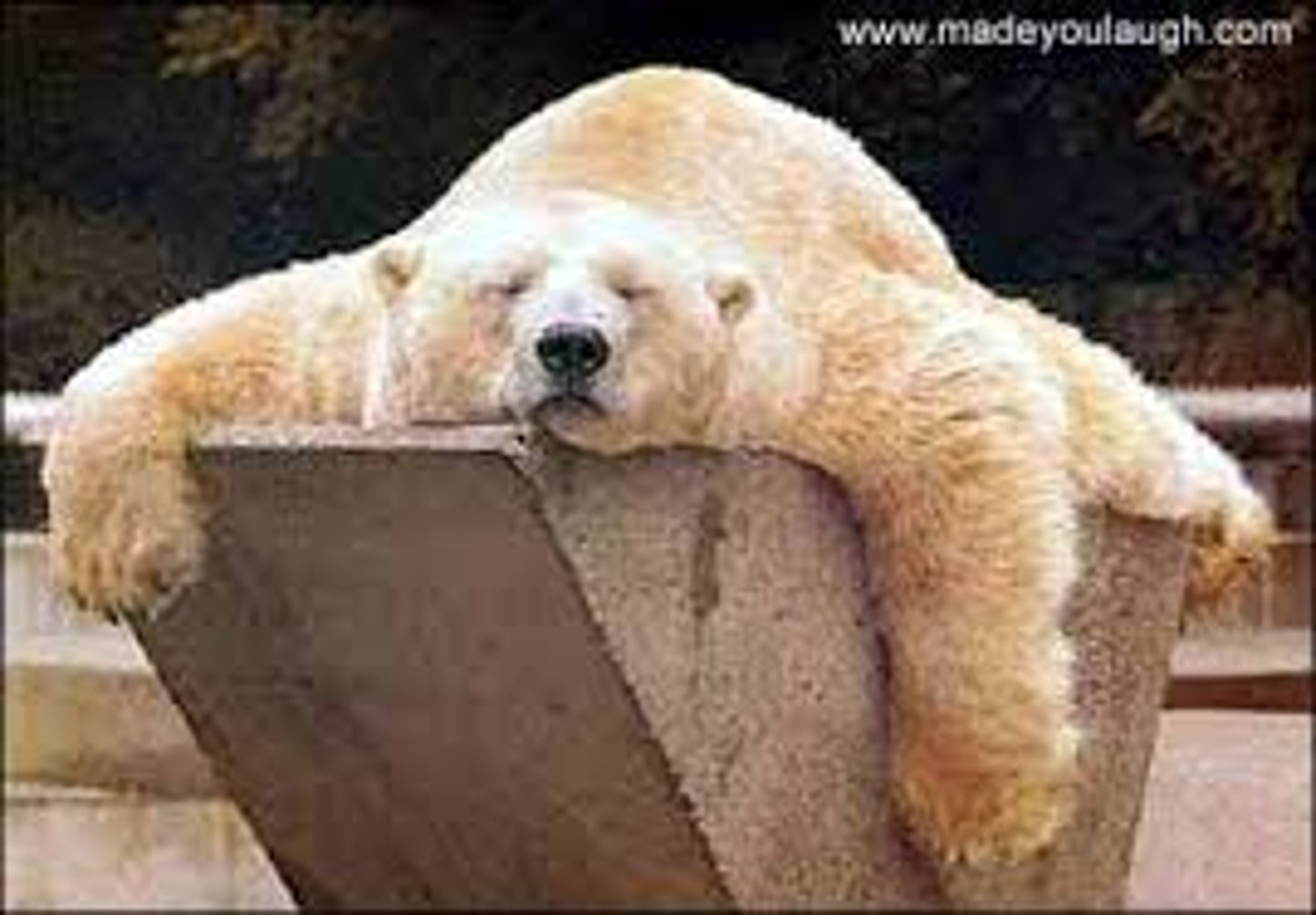 <p>without energy; slow and sluggish</p>