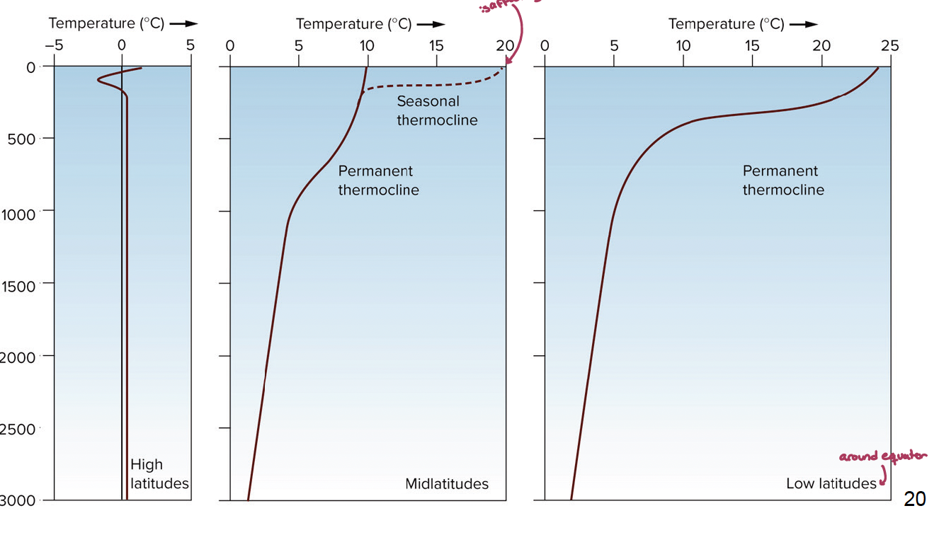 <p>seasonal: there are latitudinal differences in the seasonal thermocline due to seasonal heating. there is a permanent thermocline where the top 100-200 meters of water can fluctuate in temperature due to the atmosphere affecting it</p><ul><li><p>occurs around midlatitudes</p></li></ul><p>permanent: where the thermocline does not change with the time of the year. occurs at low latitudes (the equator) as well as high latitudes (cold as balls) </p><p></p>
