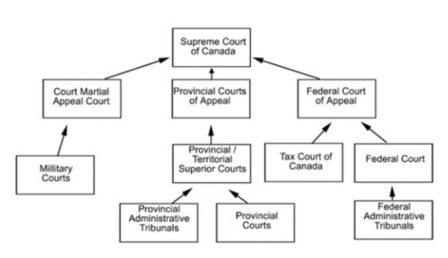 <p>There are four levels of court: Ontario Court of Justice, Superior Court, Ontario Court of Appeal, and the Supreme Court of Canada.</p>