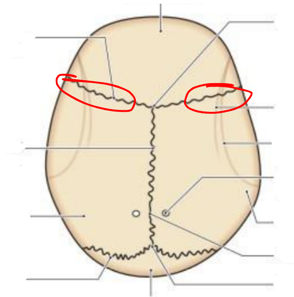 <p></p>