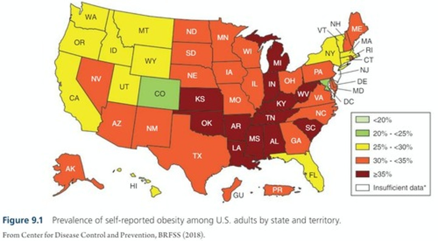 <p>1 in every 2 US adults will have obesity.</p>
