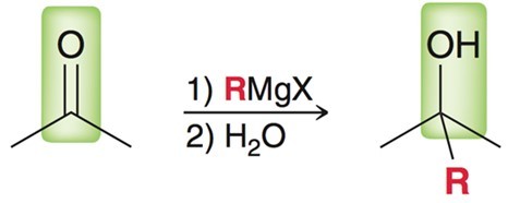 <p>Strong base and nucleophile. RMgX. Have to use aprotic solvents or protecting groups such as TMS. </p>