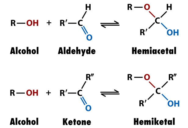 <p>hemiacetals and hemiketals. these have their C=O bonds turned into C-OH and the same chiral carbon will gain a -O-R bond from the alcohol</p>