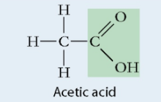 <ul><li><p>Polar</p></li><li><p>Carbon double bonded to an Oxygen and single bonded to a Hydroxide</p></li><li><p>Acidic</p></li><li><p>Found in: proteins, lipids</p></li></ul>