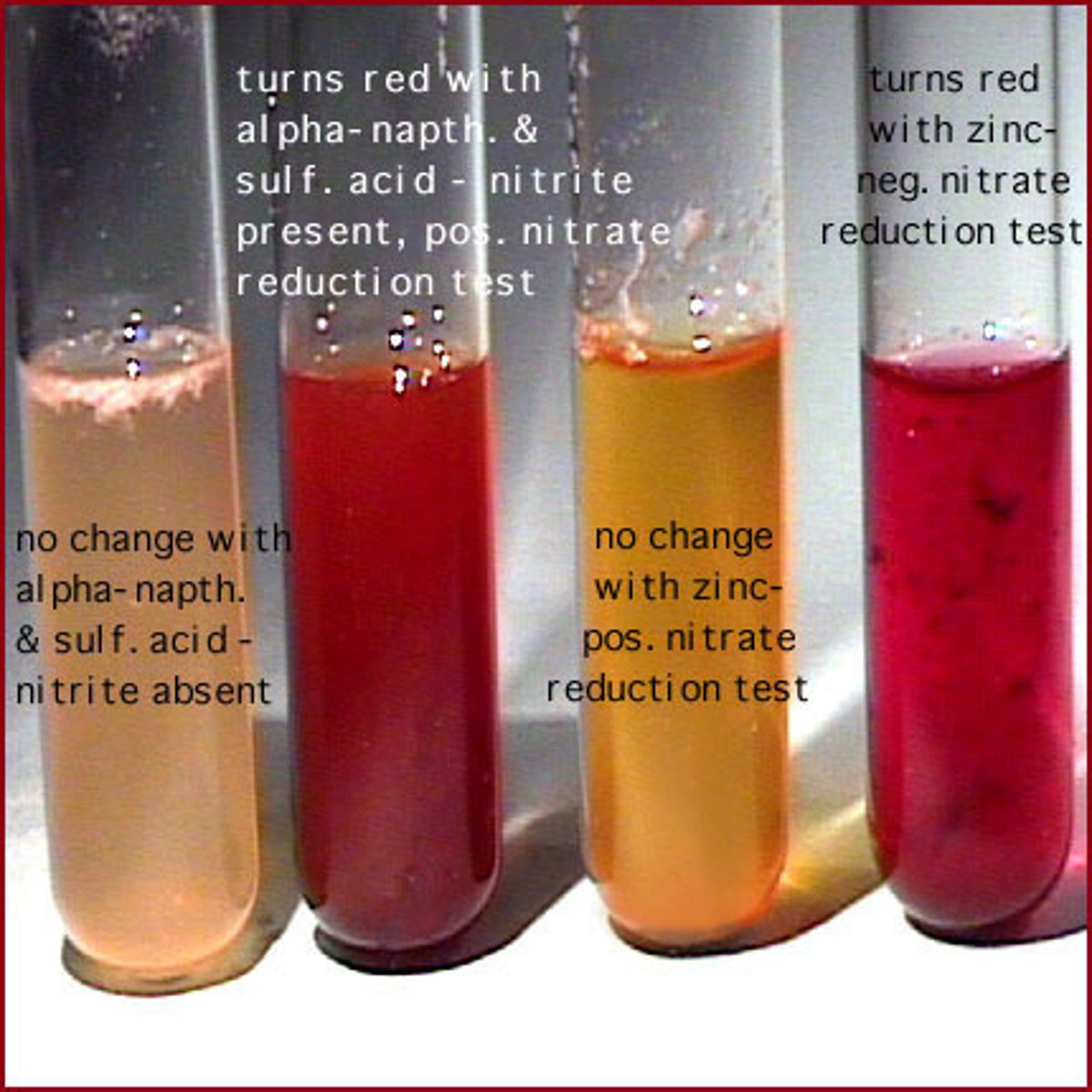 <p>red</p>