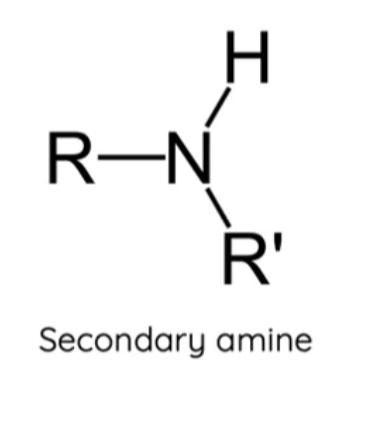 <p><span>A nitrogen atom bonded to </span><strong><span>one hydrogen</span></strong><span> atom and </span><strong><span>two carbons.</span></strong></p>