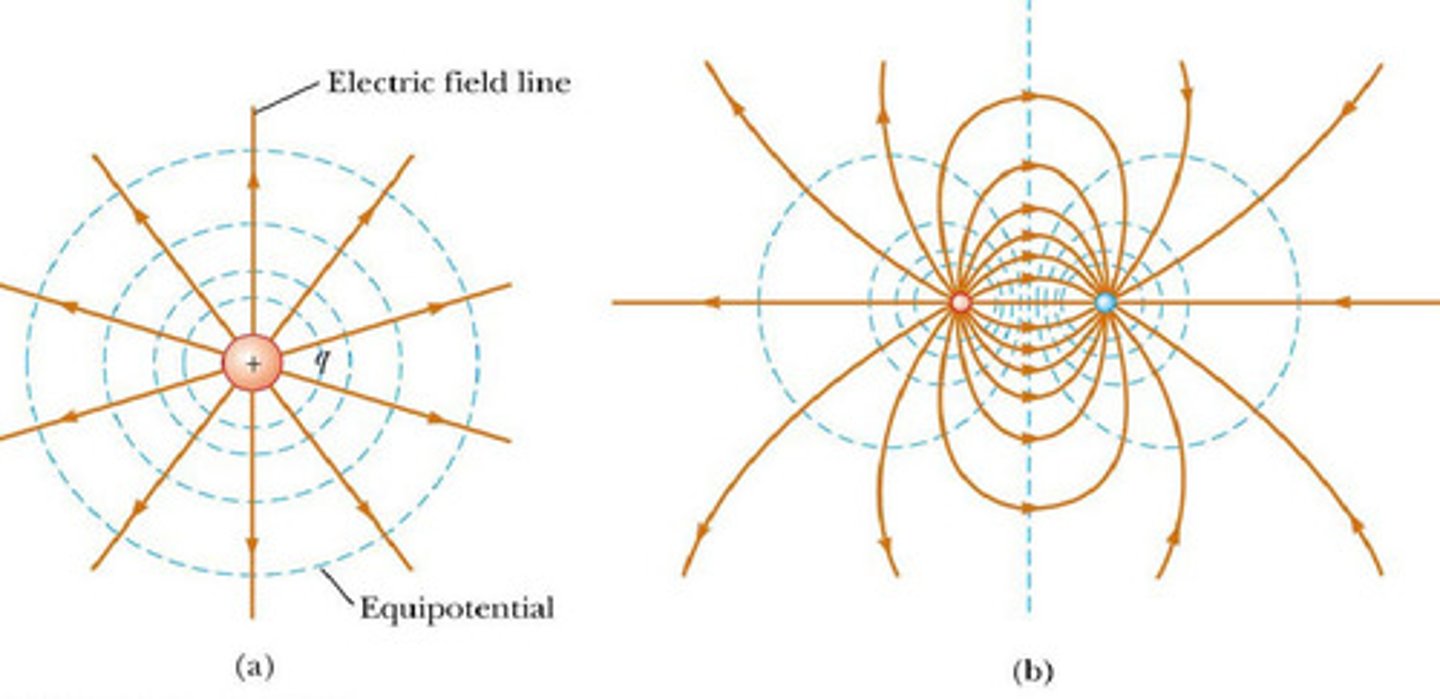 <p>true statements</p>