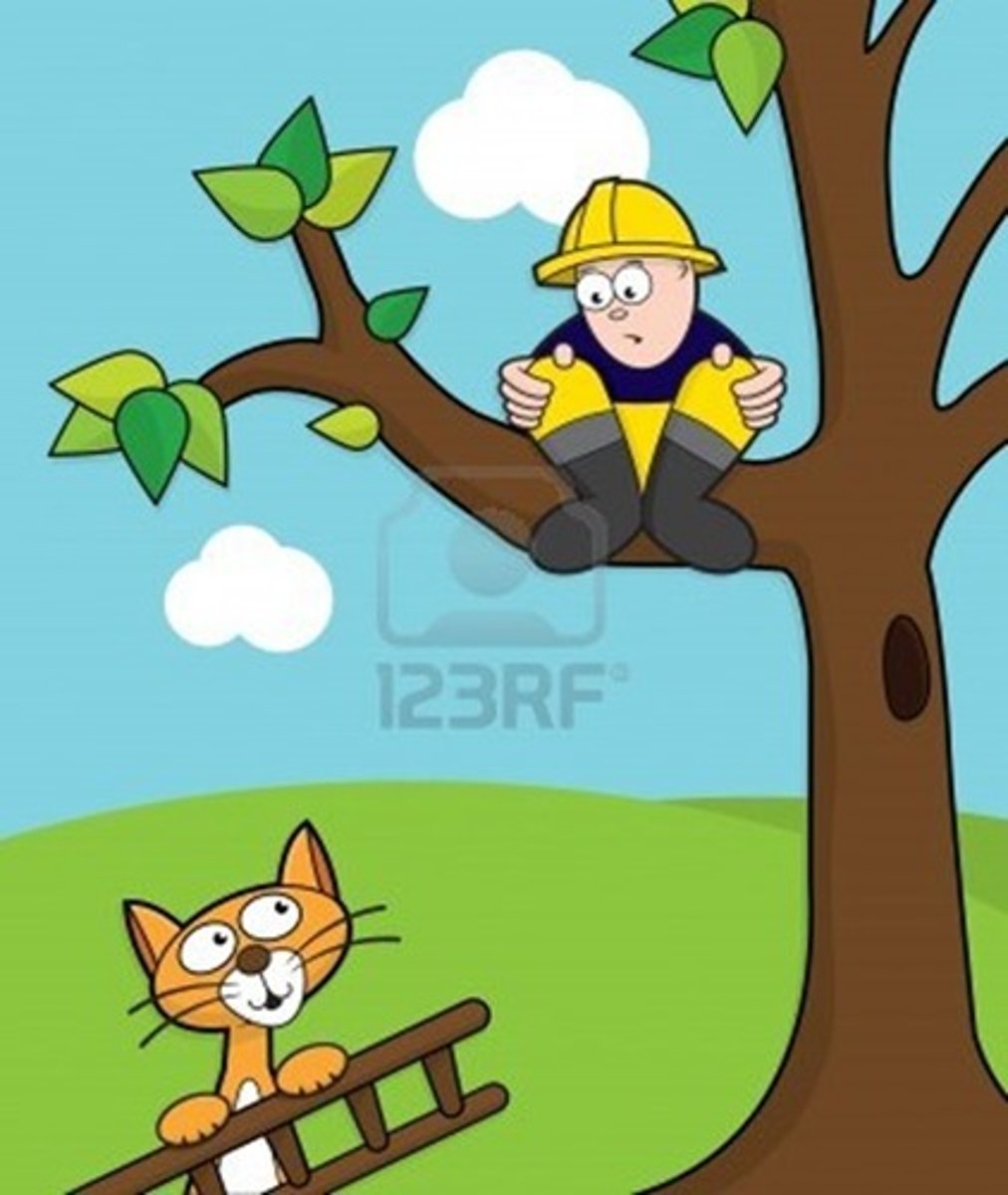<p>to rescue, save</p>