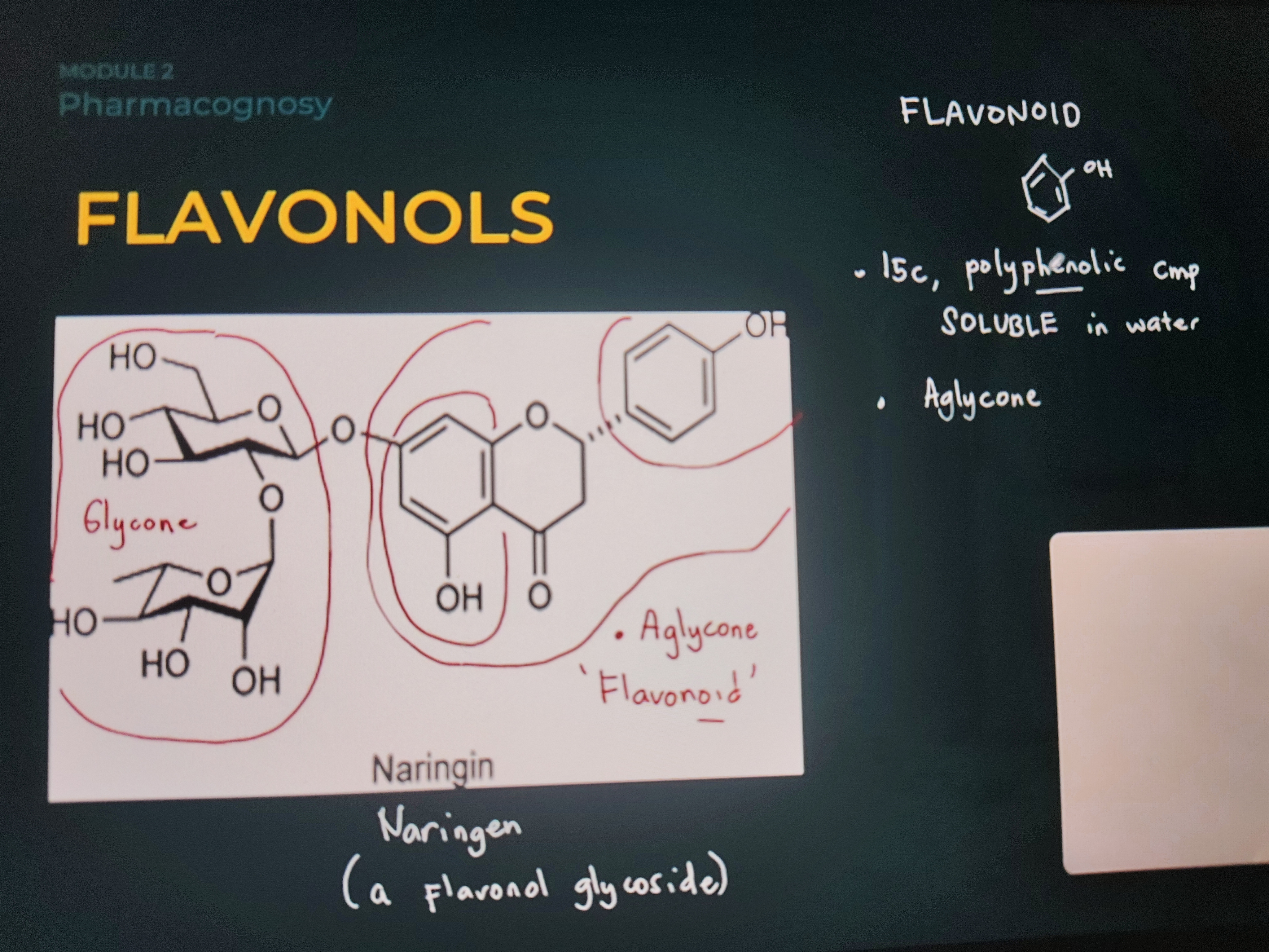 <ul><li><p><strong>Flavonol Glycoside</strong></p></li><li><p><strong>Aglycone: Flavonoid</strong></p></li></ul>