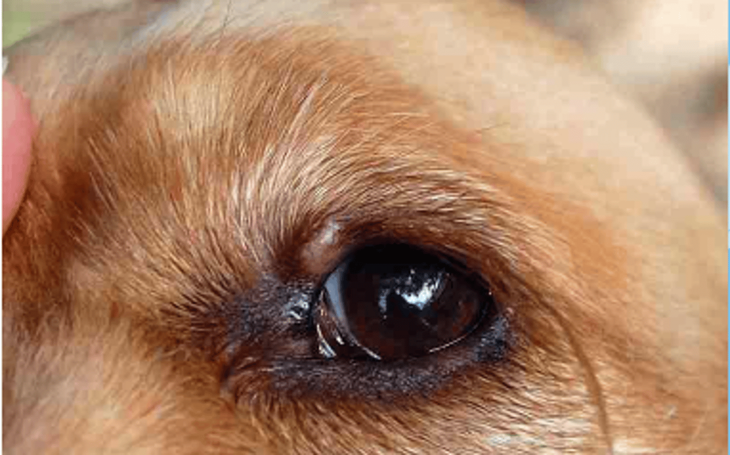 <p>what is this ?</p>