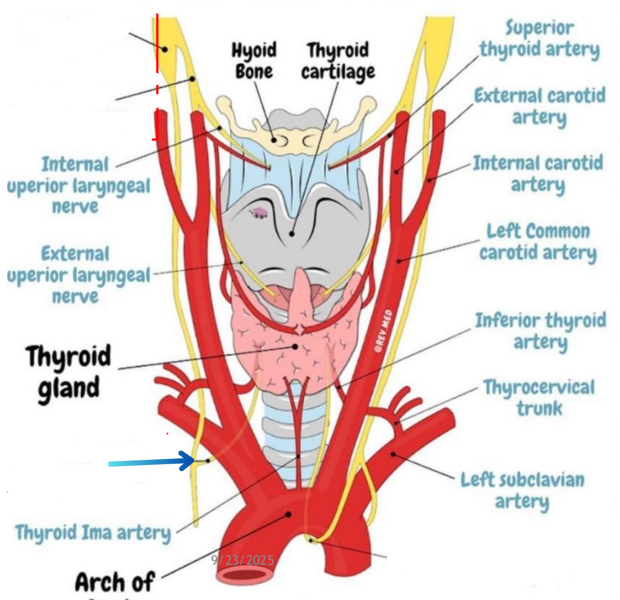 term image