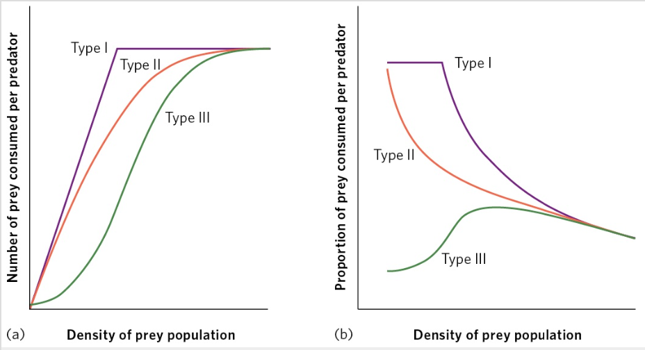 <p>Functional Responses of Predators</p>