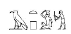 term image
