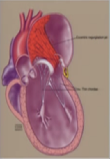 <p>This is?</p>