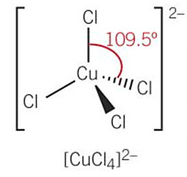 <p>-<strong>4 </strong>coordinate bonds - coordination number =<strong> 4</strong> </p><p>-complex ions containing <strong>chloride ions</strong> tend to be tetrahedral </p><p>-bond angle =<strong> 109.5</strong></p>