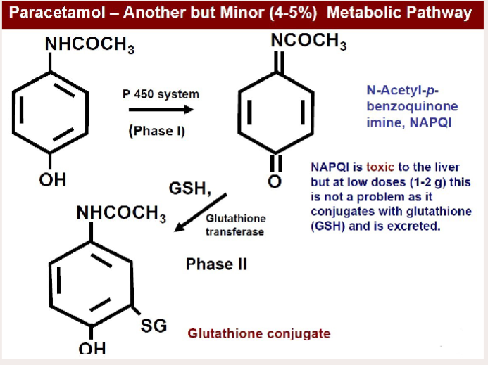 <p>Paracetamol —(P450 system)→ NAPQI (toxic) —(Glutathione transferase)→ Glutathione conjugate</p>