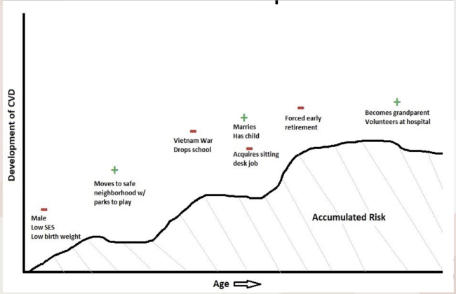 <p>What theory does this graph represent?</p>