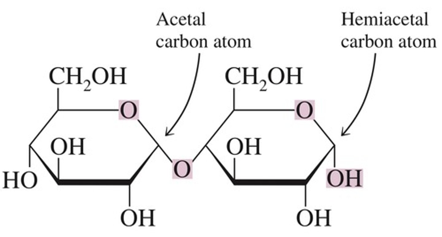 <p>Most Disaccharides have an acetal carbon and hemiacetal carbon. Sucrose is an exception, the hemiacetal carbon of both monosaccharide monomers are participating in the glycosidic linkage. This is also what makes sucrose a non-reducing sugar.</p>