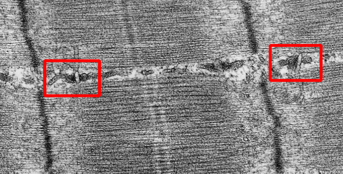 <p>What is this highlighting</p>