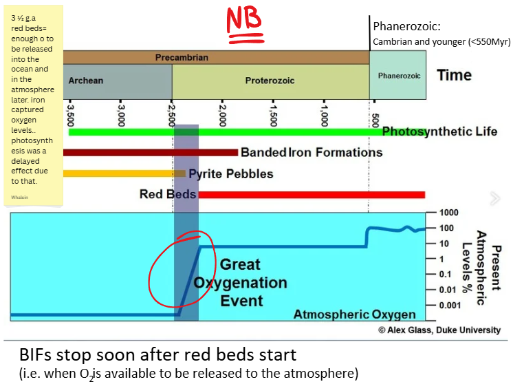 <p>(C) red beds appear first in the geological record about 2.3Ga</p>