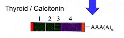 <p>a)</p>