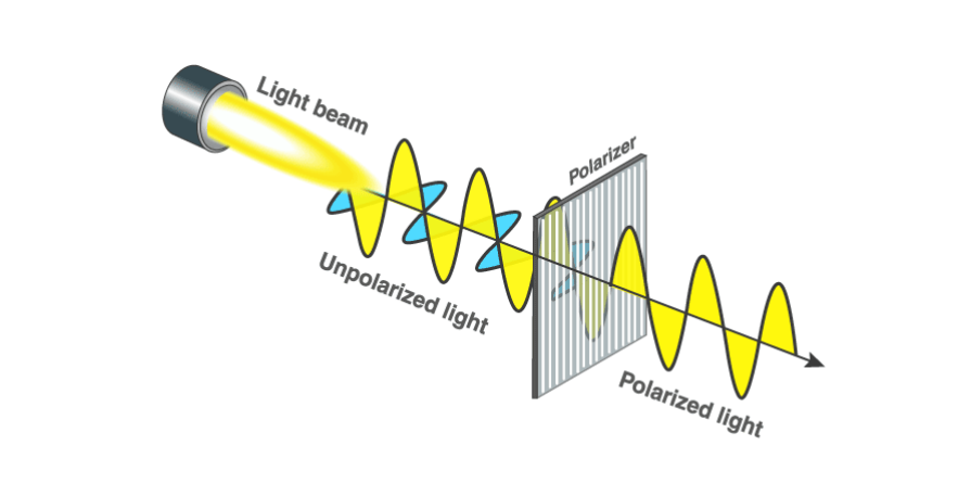 <p>Unpolarized Light</p>