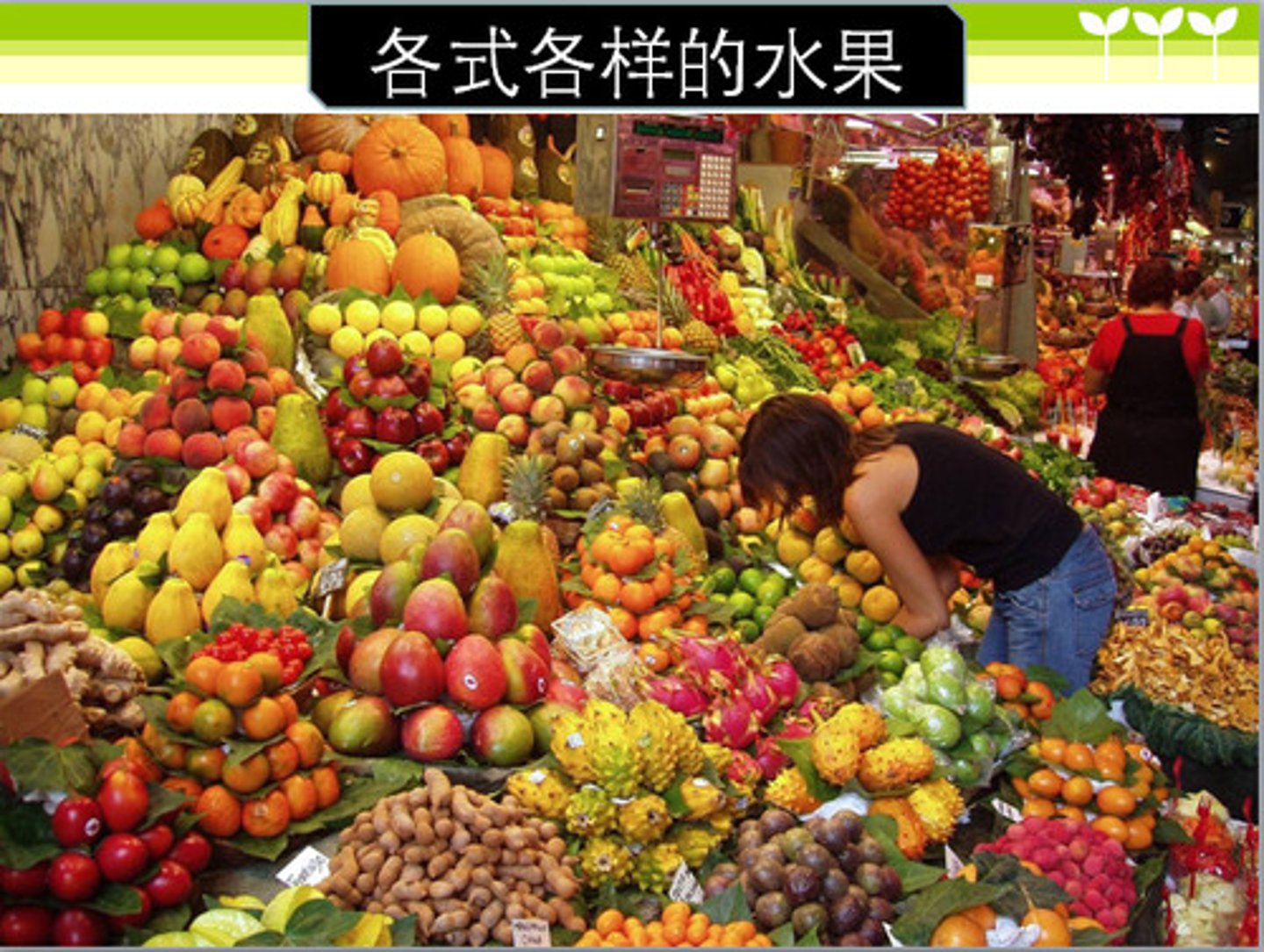 <p>gè zhǒng every kind of / all kinds of / various kinds</p>