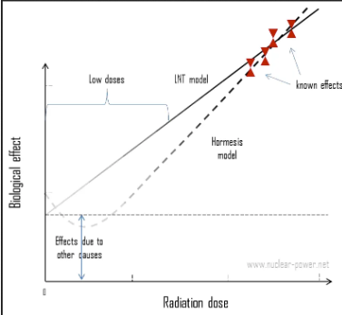 <p><span>suggests a beneficial effect of low-dose exposure creating up regulation in cellular activity, but still being investigated </span></p><ul><li><p><span>populations with known low dose exposures to radiation (5-50 mSv) have </span><em>reduced</em><span> cancer death rates</span></p></li></ul><p></p>