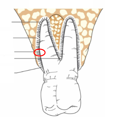 <p>What is this?</p>